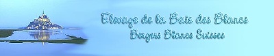 de la baie des blancs